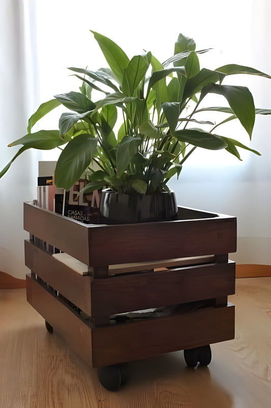 Modern Wooden crate